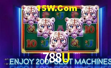 Experiência VIP 788U