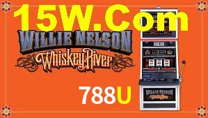 Instant EasyPaisa 788U